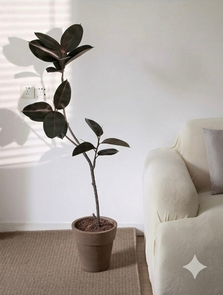 Faux Rubber Tree with Pot