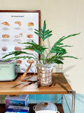 Faux Small Indoor Fern Plant with Woven Basket