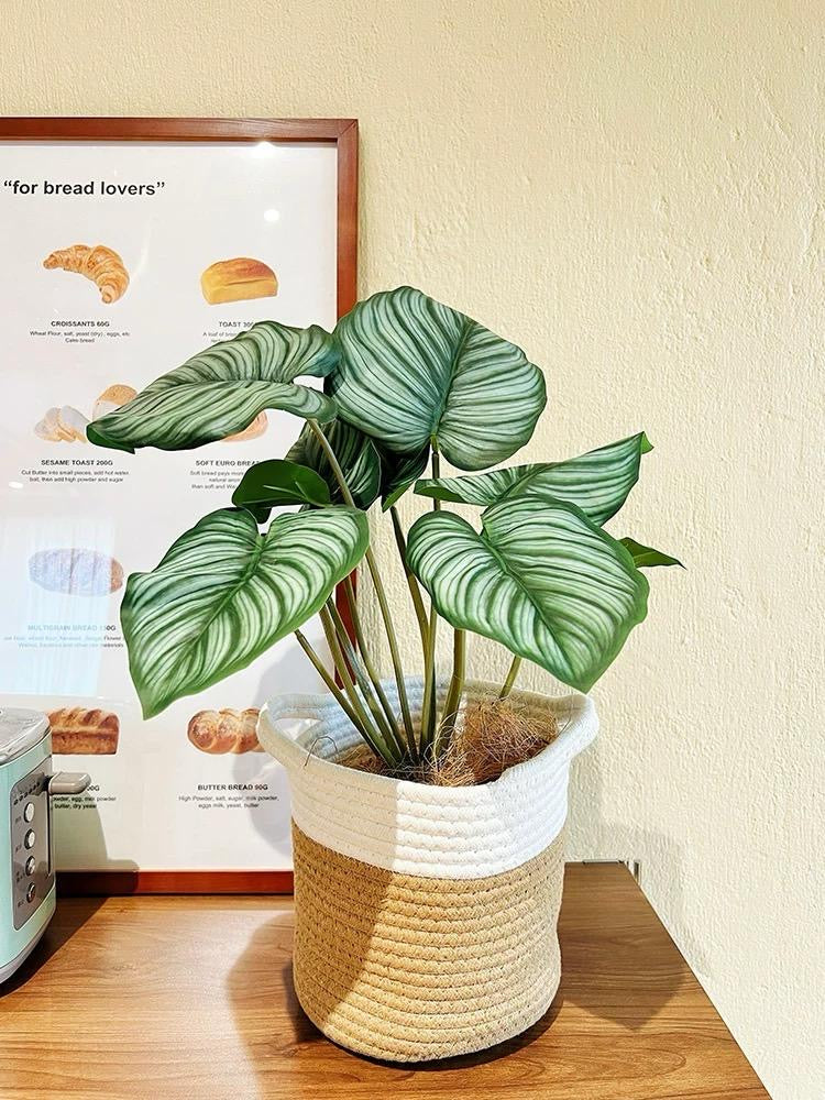Faux Apple Leaf Plant with Woven Basket