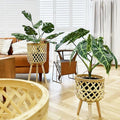 Faux Alocasia Plant with Woven Basket