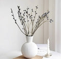 Eucalyptus Pod Set 5 stems + Vase